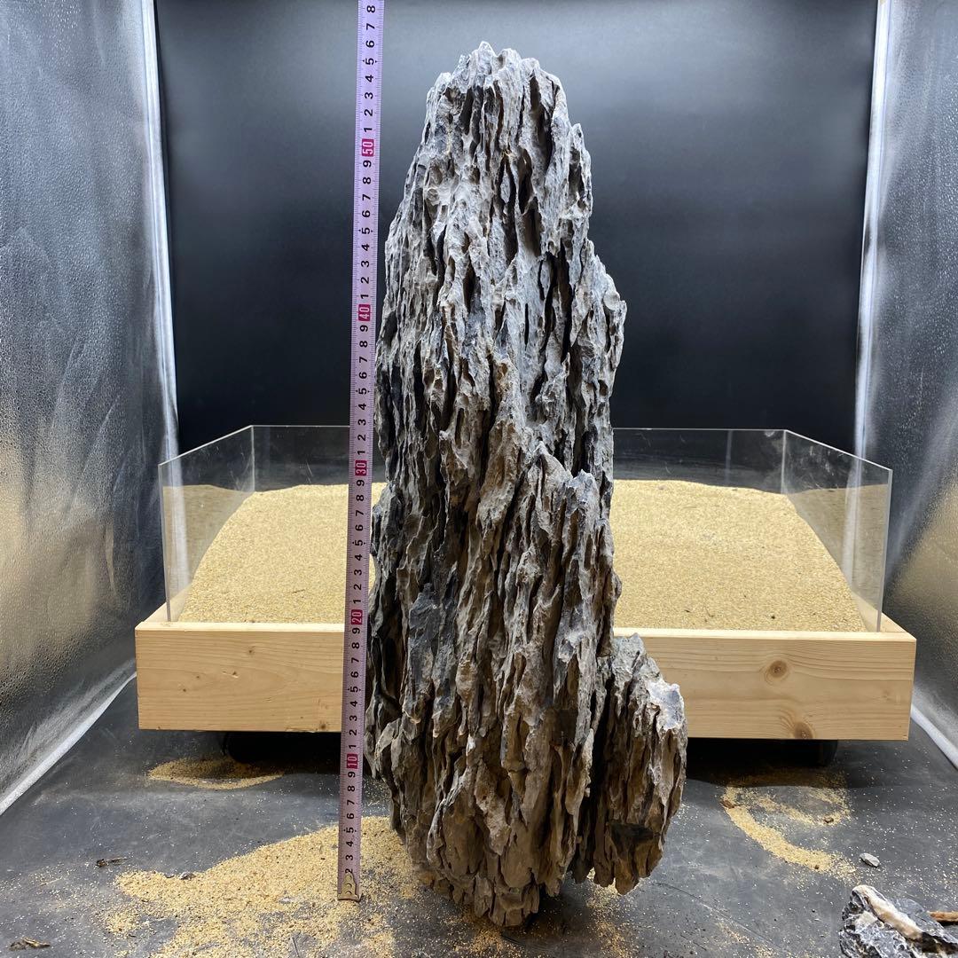 MSS-6642 特大セレクト品青龍石57cm親石　龍王石　竜王石