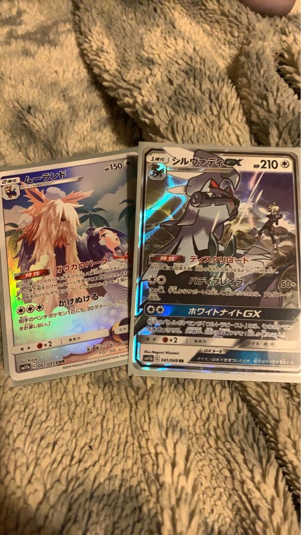 シルヴァディGX