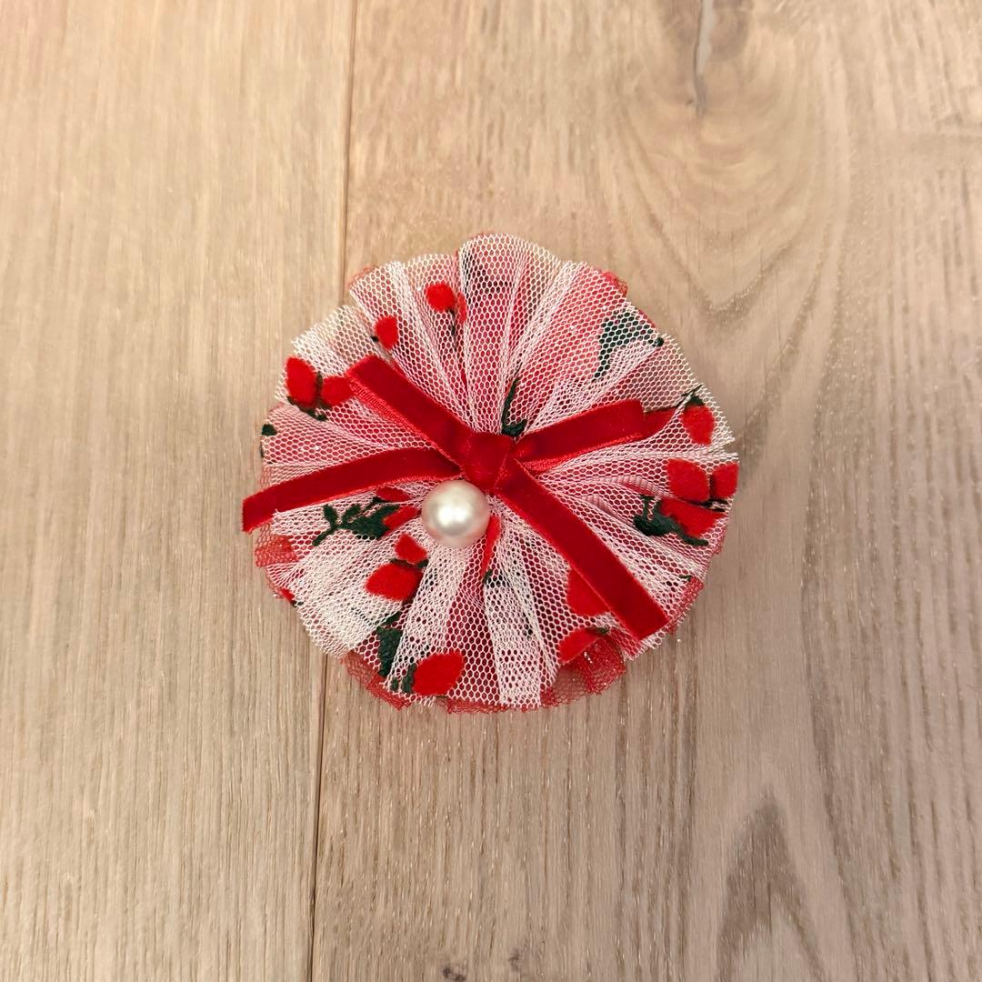 リュクスバーディLuxe birdieルージュワンピースバレッタセット犬服レッド