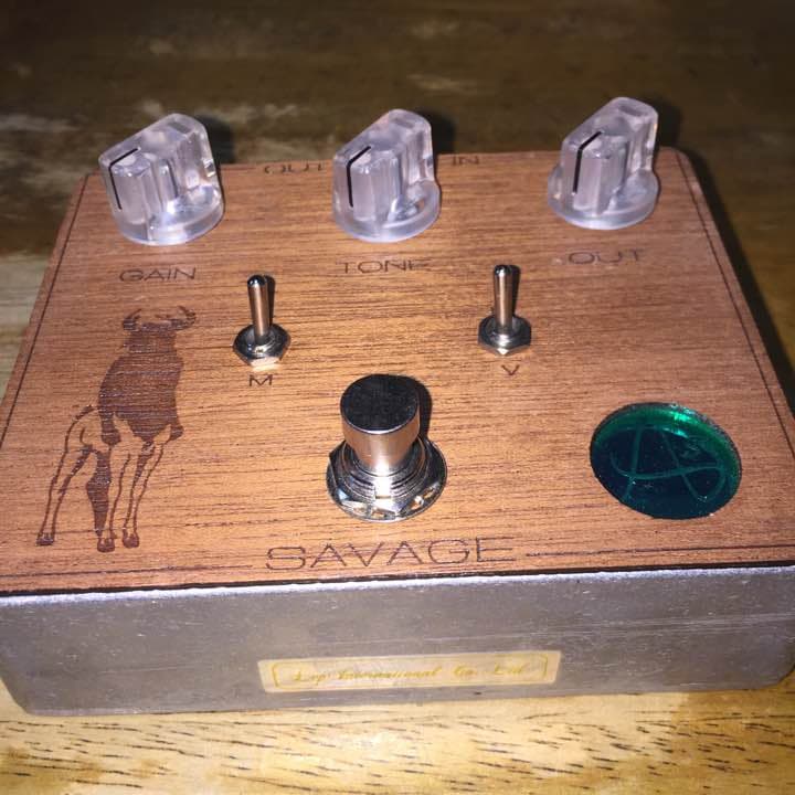 ギター Anasounds SAVEGE