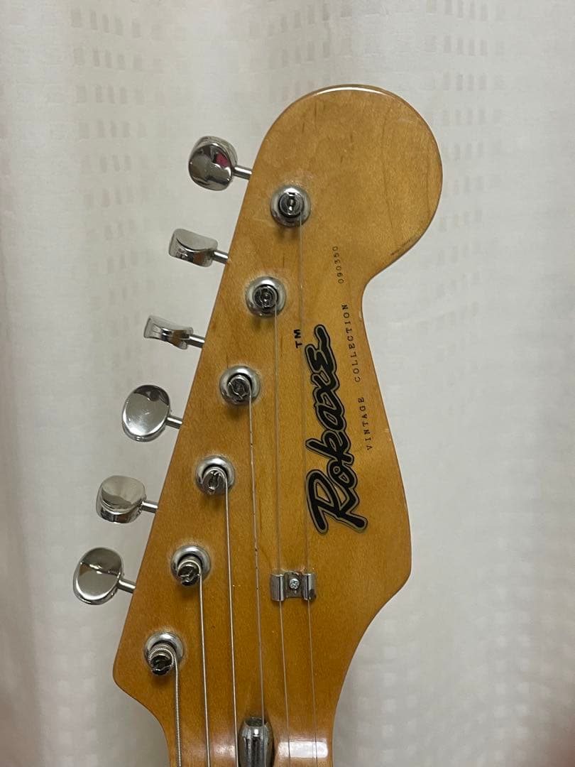 Rokaxs ストラトキャスター タイプ　sugizo skin