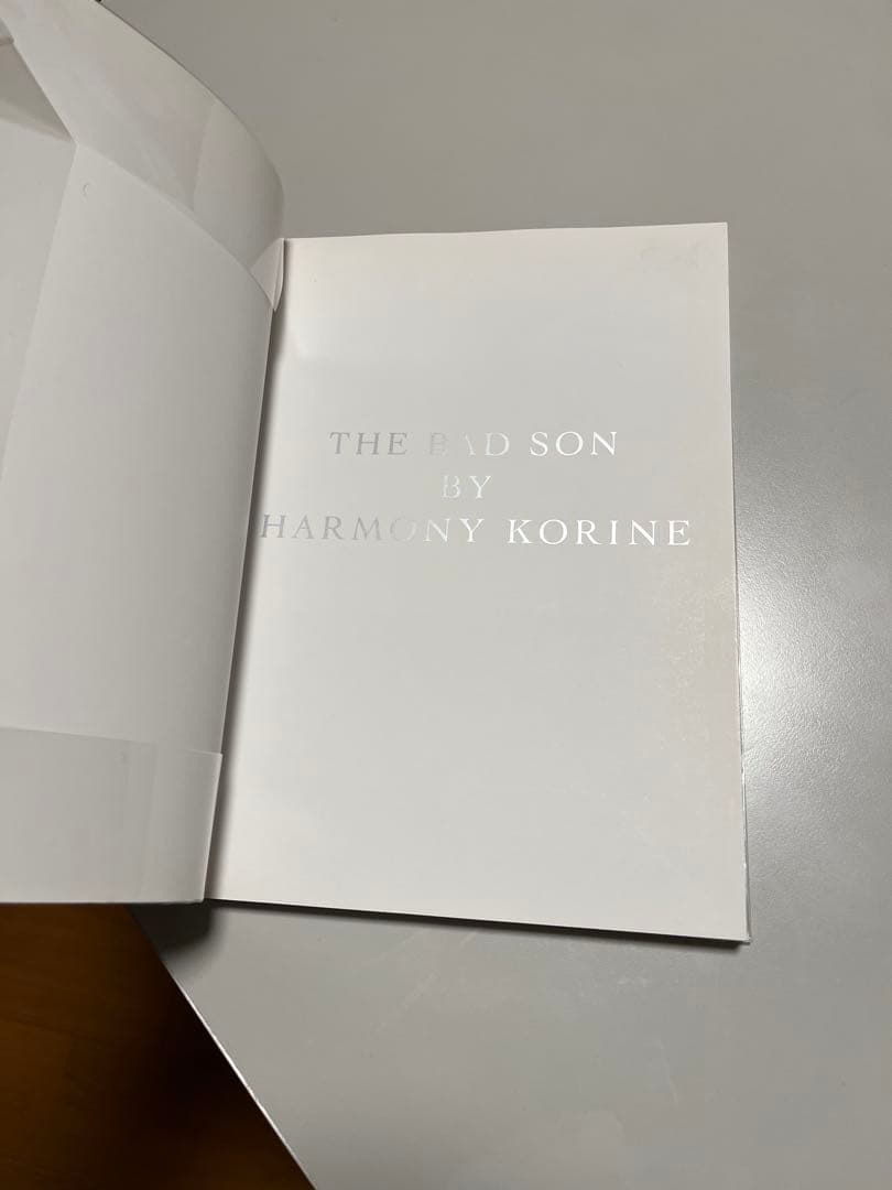 芸術写真 harmony korine the bad son taka ishii