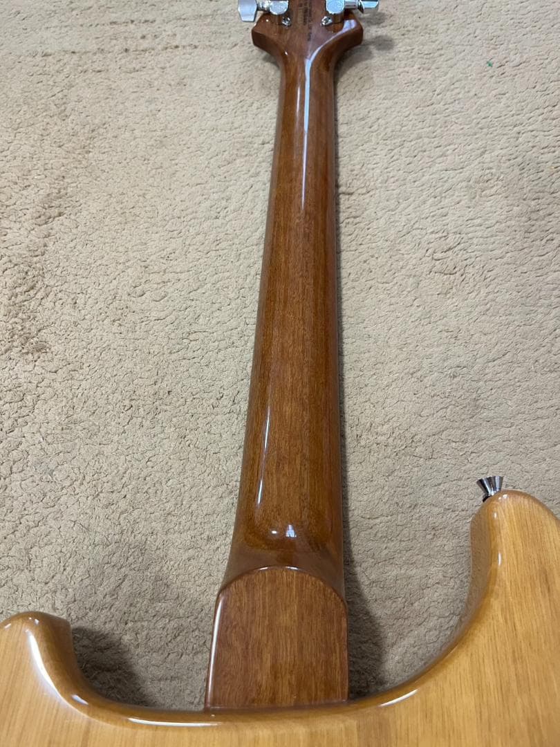 【希少】PRS SE Cnstom 22 セミホロウ　P-90タイプ