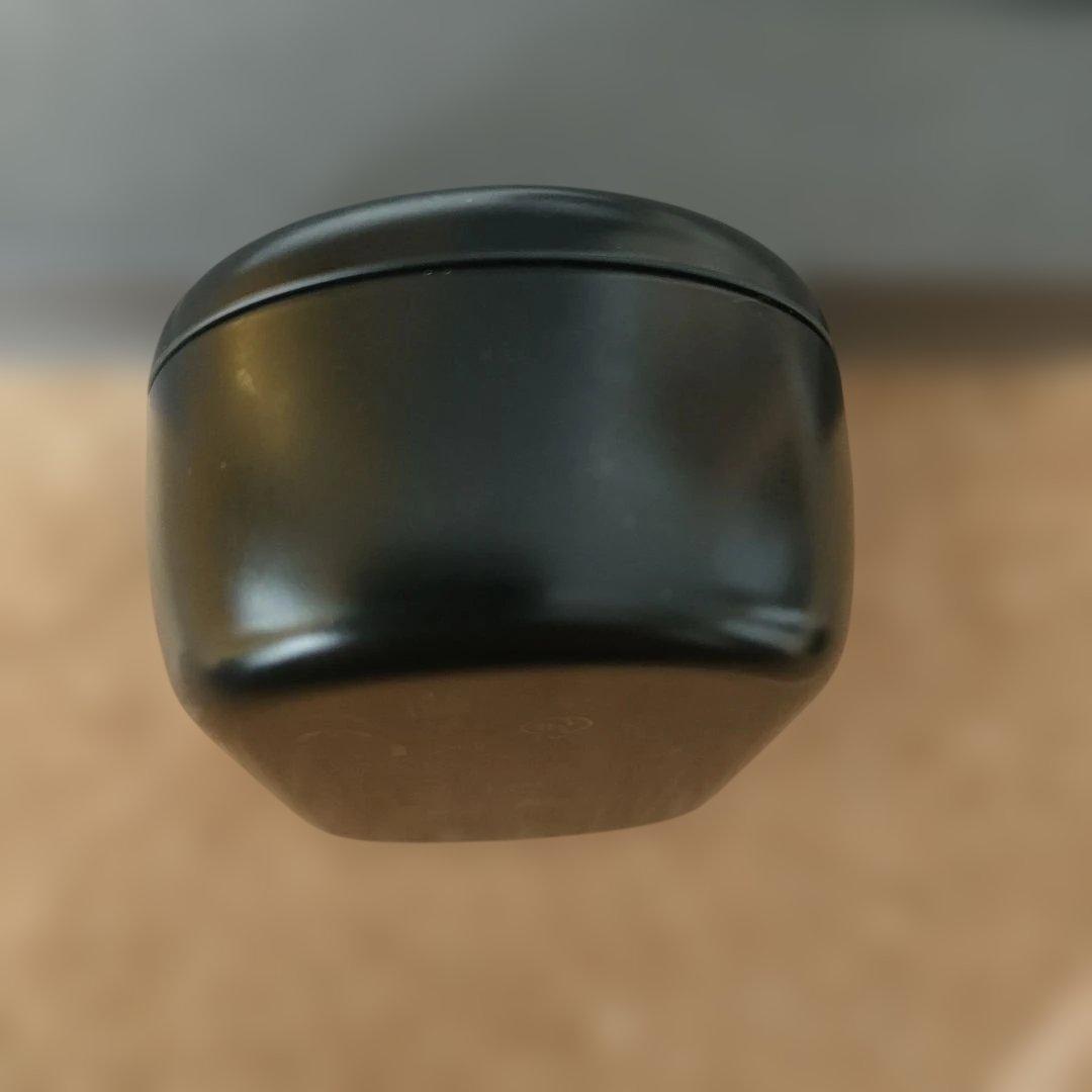 Bose QuietComfort Earbuds シリコンケース付き