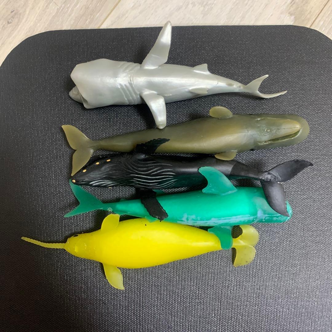 くじら　&co 16点　ブックレット デアゴスティーニ　アンドコ　コンプリート