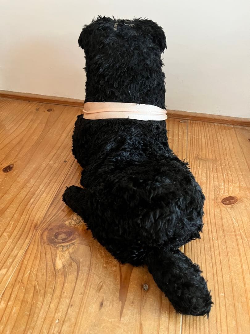 アンティーク　犬　ぬいぐるみ　フランス　蚤の市