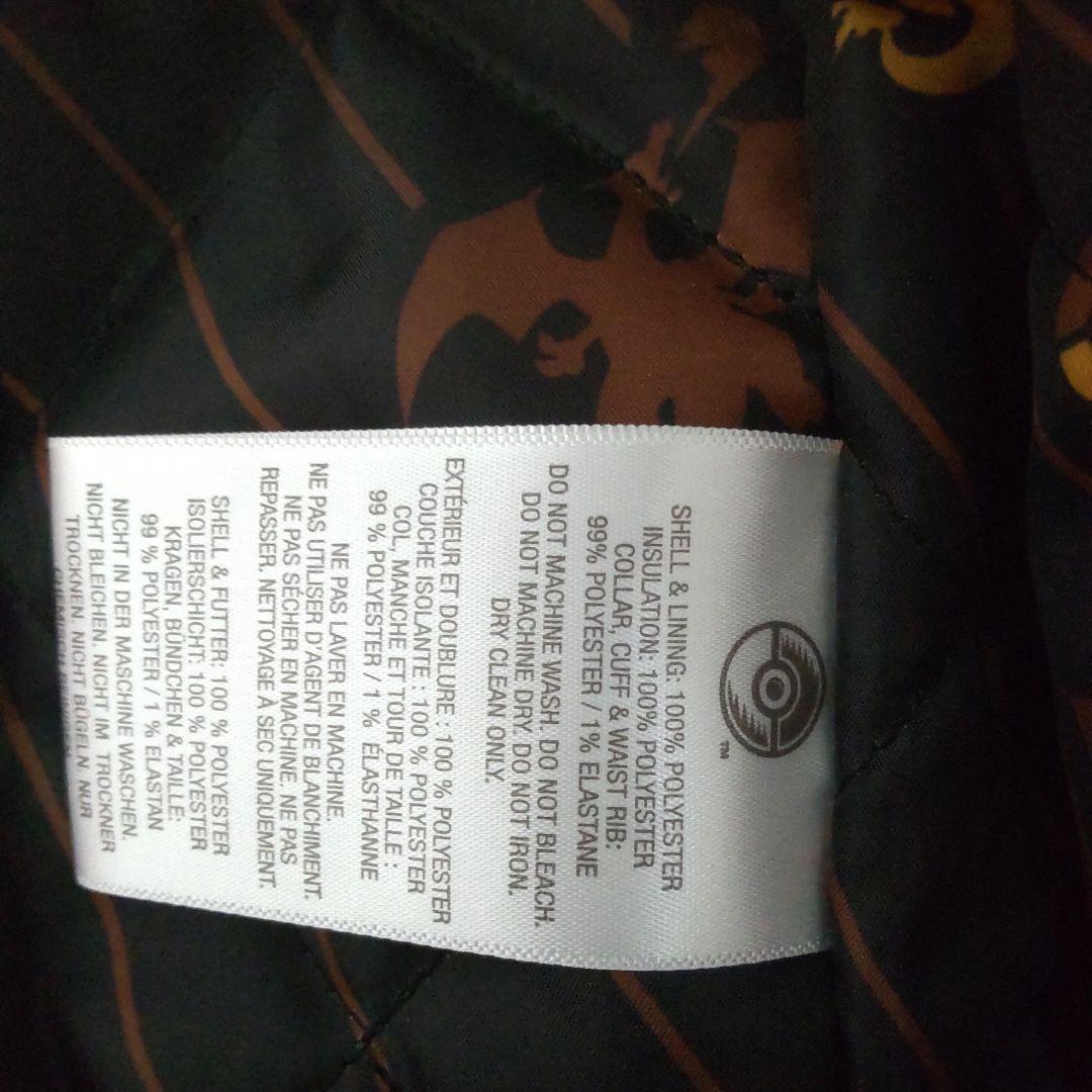 リザードン スタジャン ポケモン