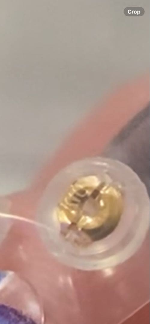 K10 ゾウのみ