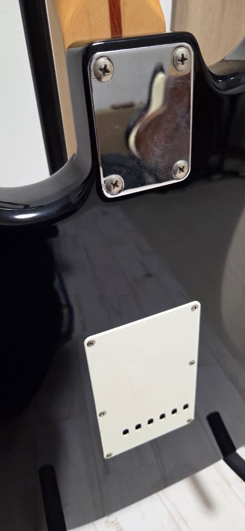 FGN j-standard ストラト