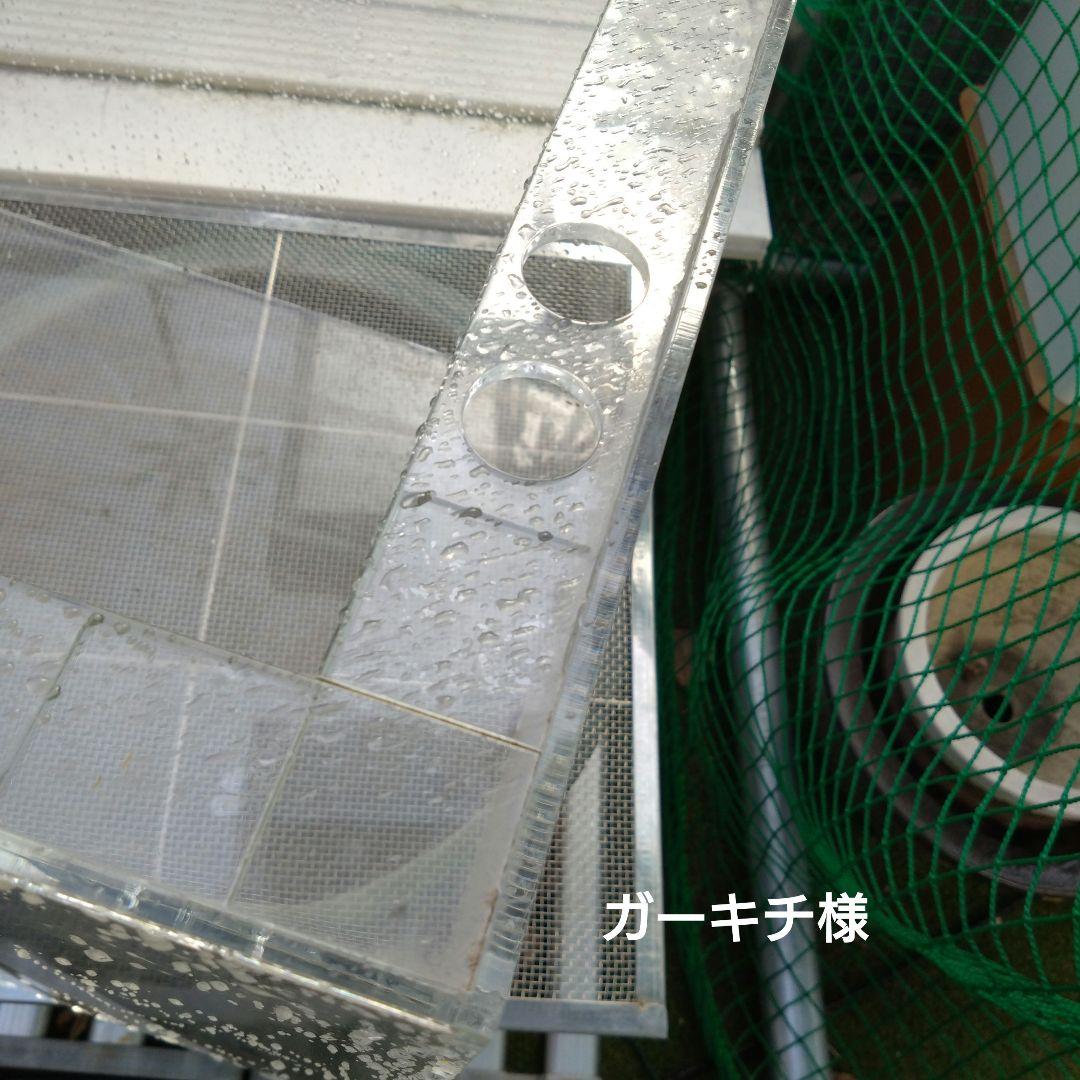 愛知県お引き取り限定☆アクリル水槽3台☆