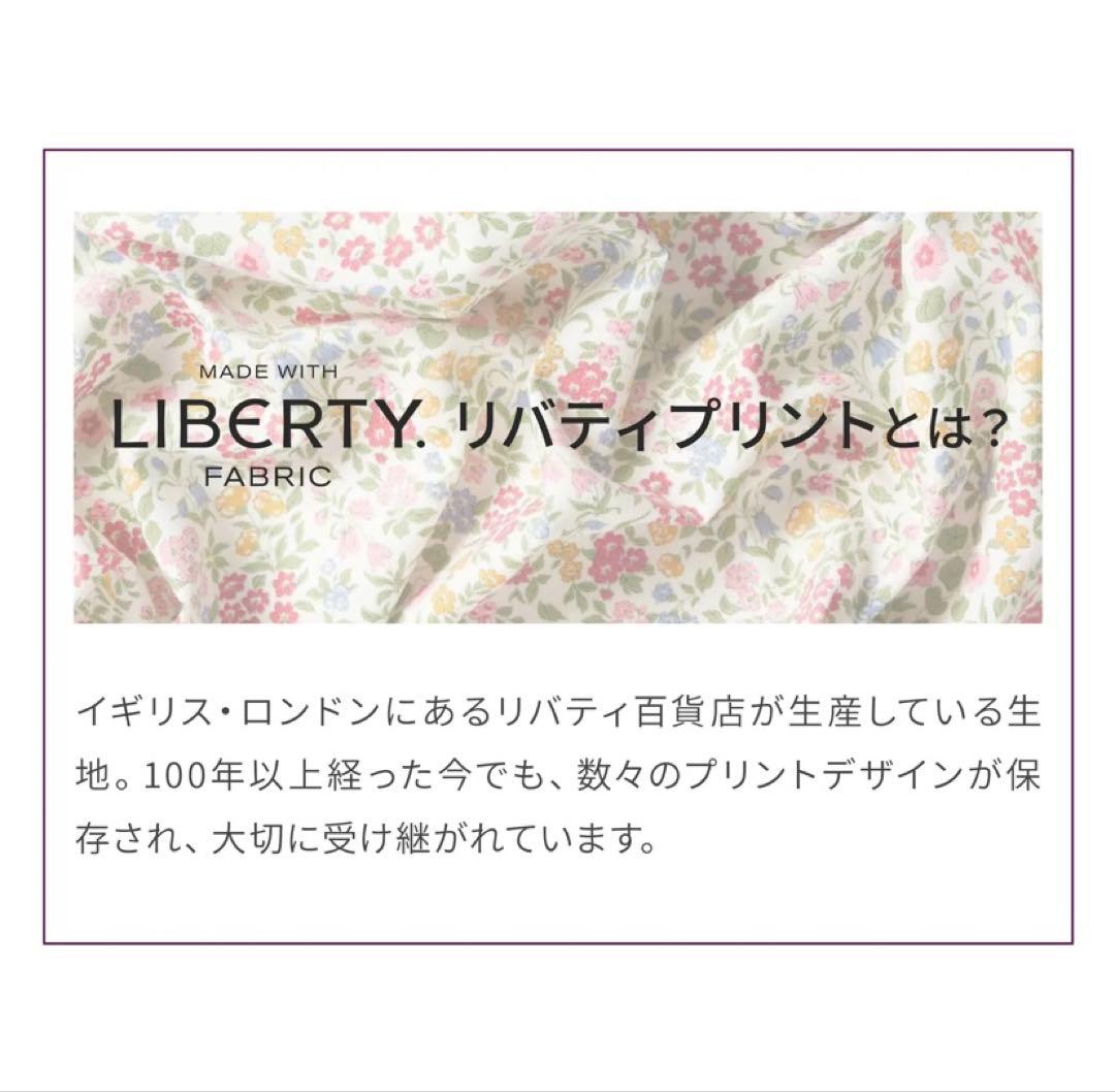 【大人気】エアバギー純正 コーナークッション限定品リバティ グレイ 新品未使用