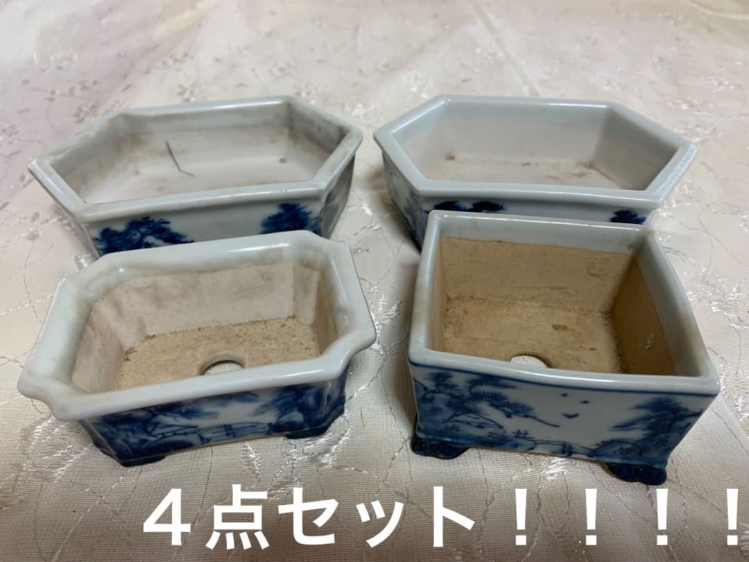 磯山4点セット　人気鉢