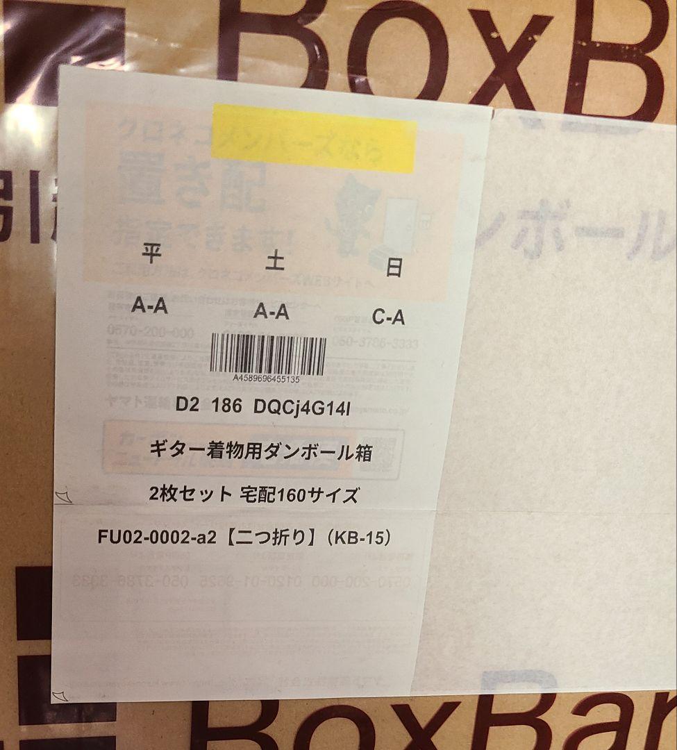 アコースティックギター HEX F100 M ケース付き 美品