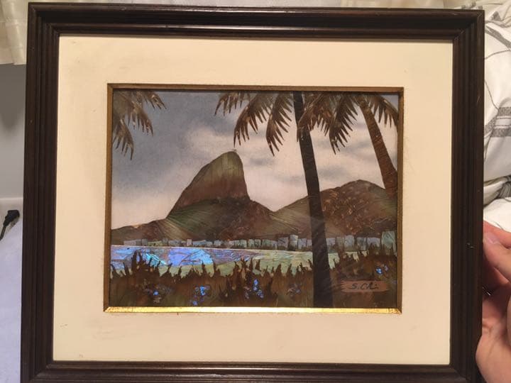 蝶絵画
