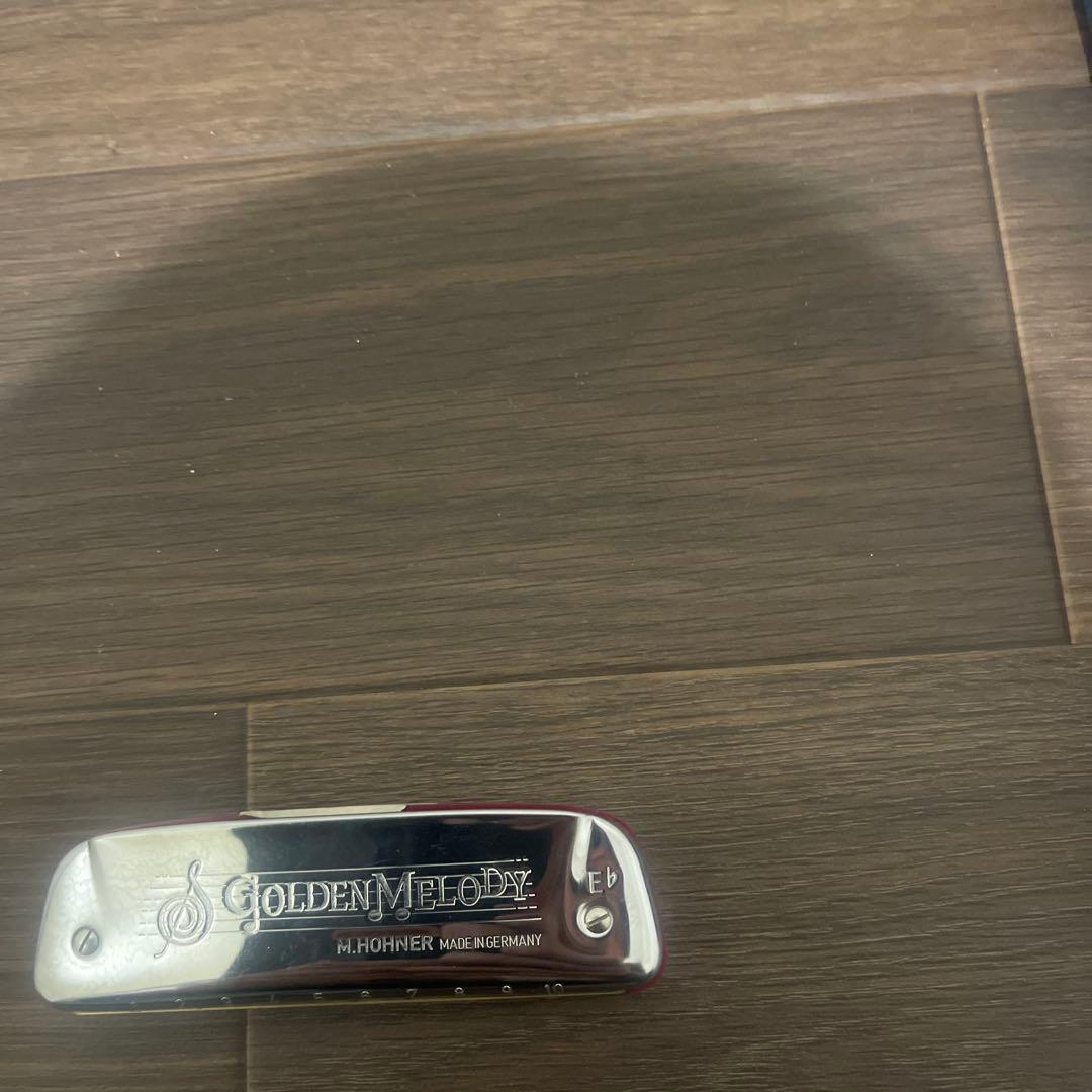 フェン Buy3S M.Hohner ゴールデンメロディ 10本セット