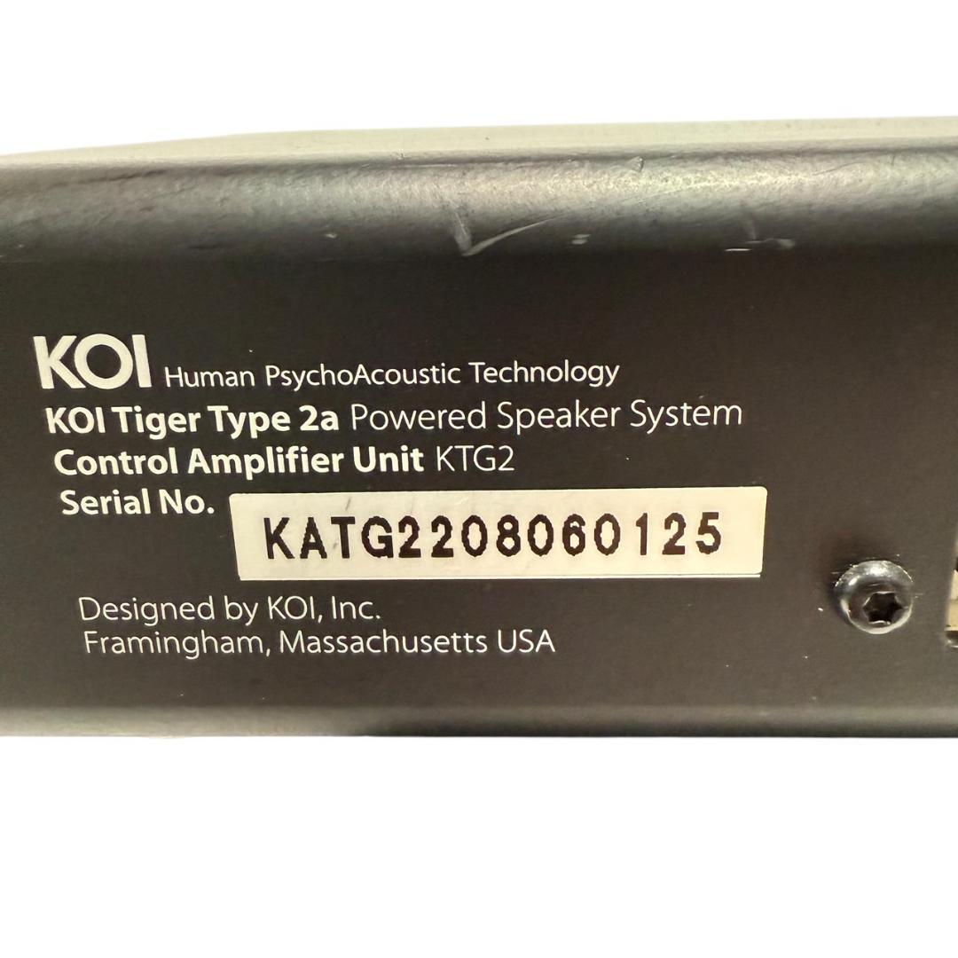 ☆希少品!! KOI Tiger Type 2a 2.1chパワーアンプシステム