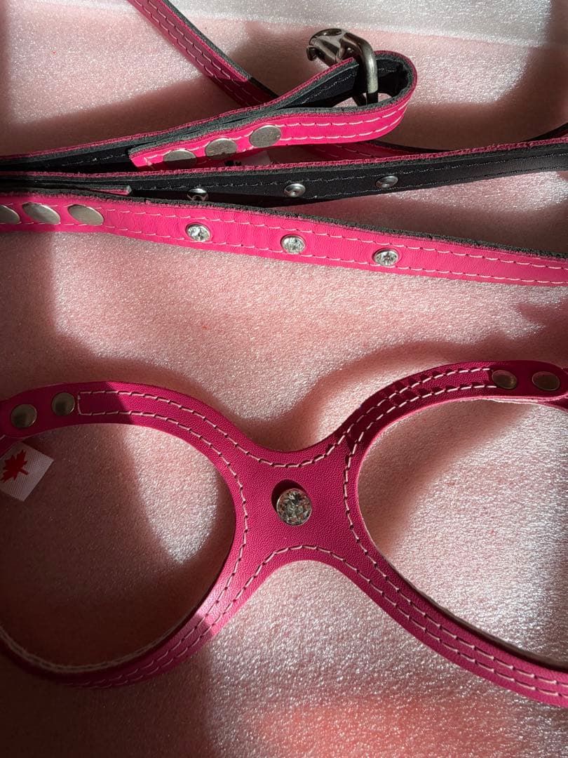 バディベルト ピンク ハーネス・胴輪セット