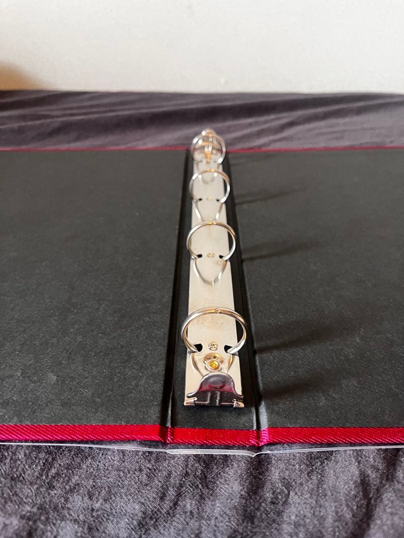 廃盤品　デルフォニックス　アルバムＬサイズ5冊レフィルセット