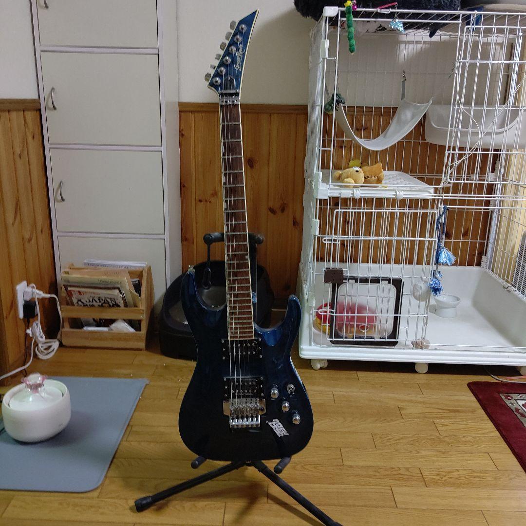 Grass Roots ギター 青 Seymour Duncan