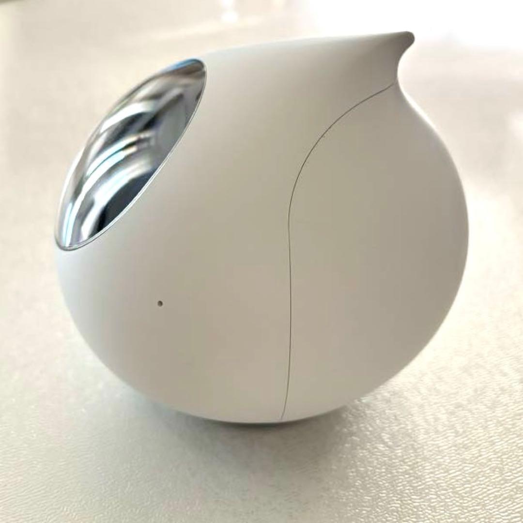 Romi ロミィ　AI搭載おしゃべりロボット