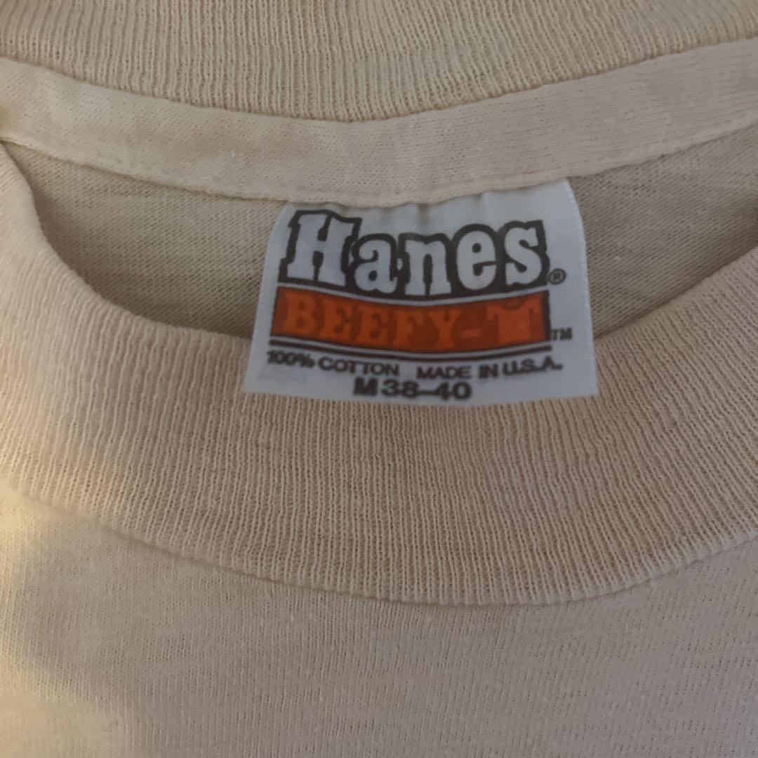 パタゴニア葛飾北斎 浮世絵スペシャルヴィンテージ染み込みプリント希少 Hanes