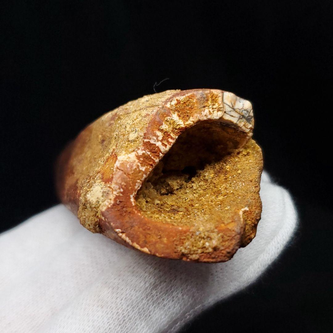 美品 スピノサウルス 本物 モロッコ産 87.94mm  sp431