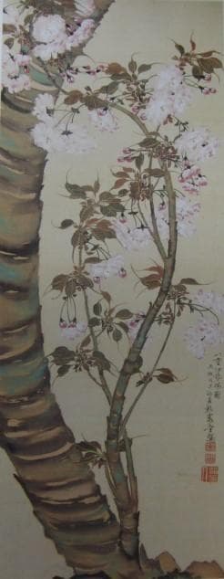 織田瑟々、【八重伊勢桜図】、希少画集画より、状態良好、新品高級額装付