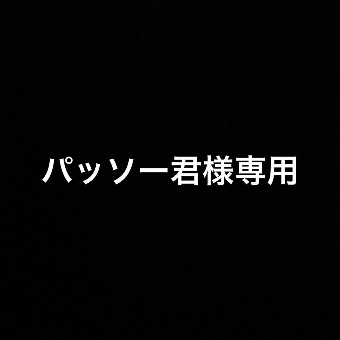 パッソー君