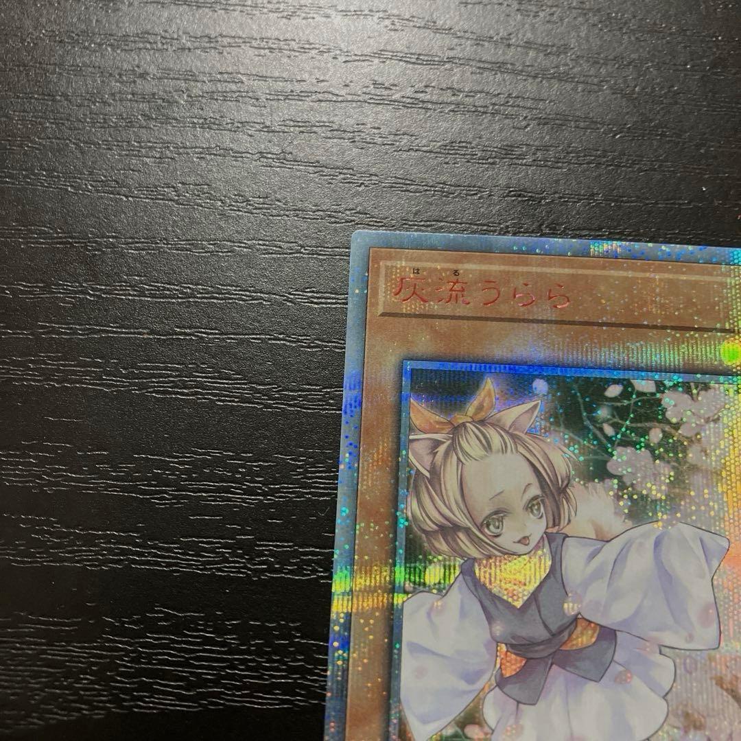 遊戯王　灰流うらら　 20thシークレットレア1枚