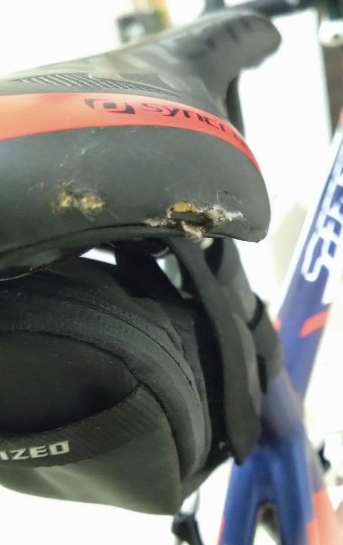 ★SCOTT★SPEEDSTER 20★送料込★スコット★スピードプレイ付き★