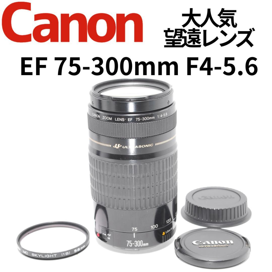 【作例あり】Canon EF 75-300mm 動作良好 軽量で扱いやすい