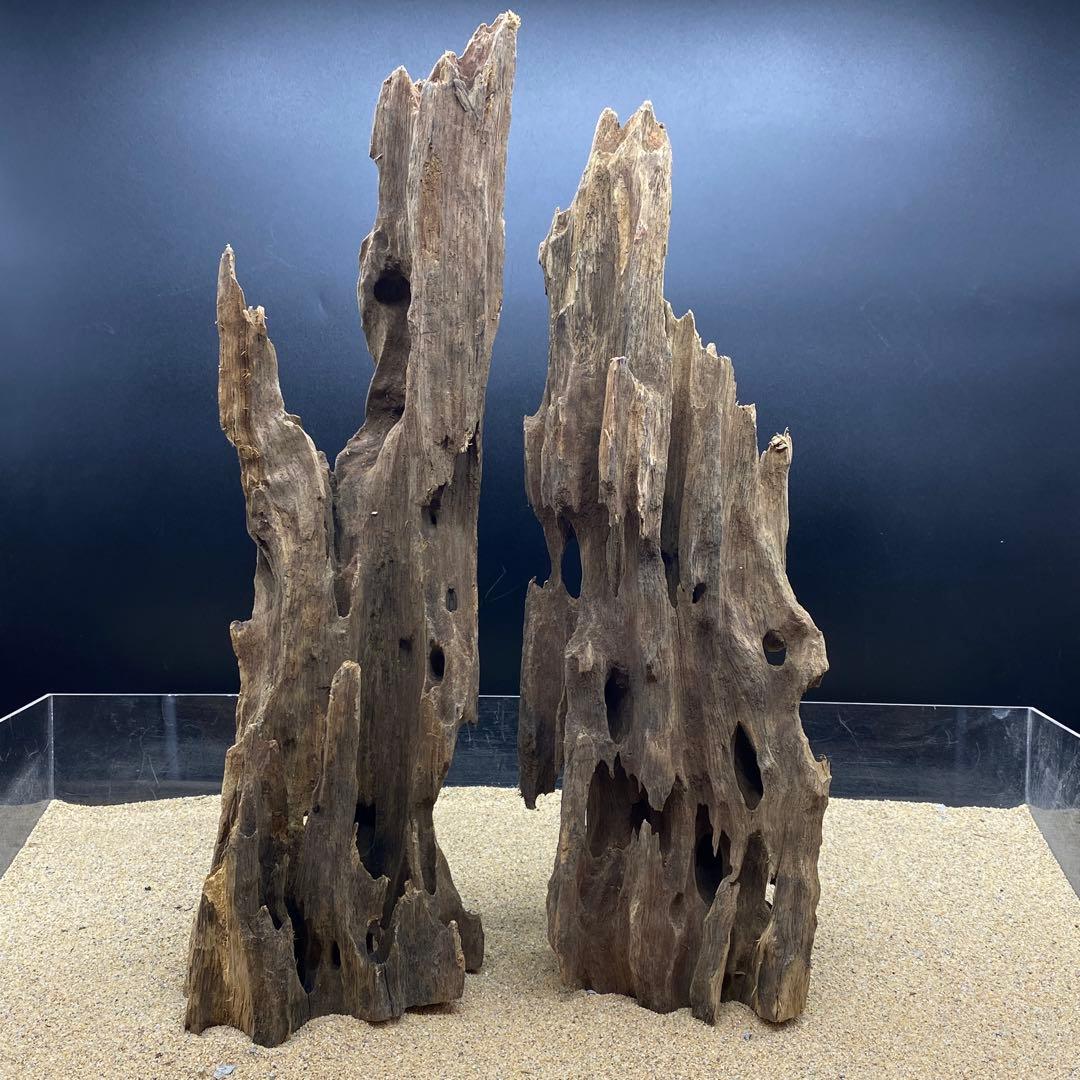 MMW-6402 自立マシンガンウッド2本セット　流木　アクアリウム