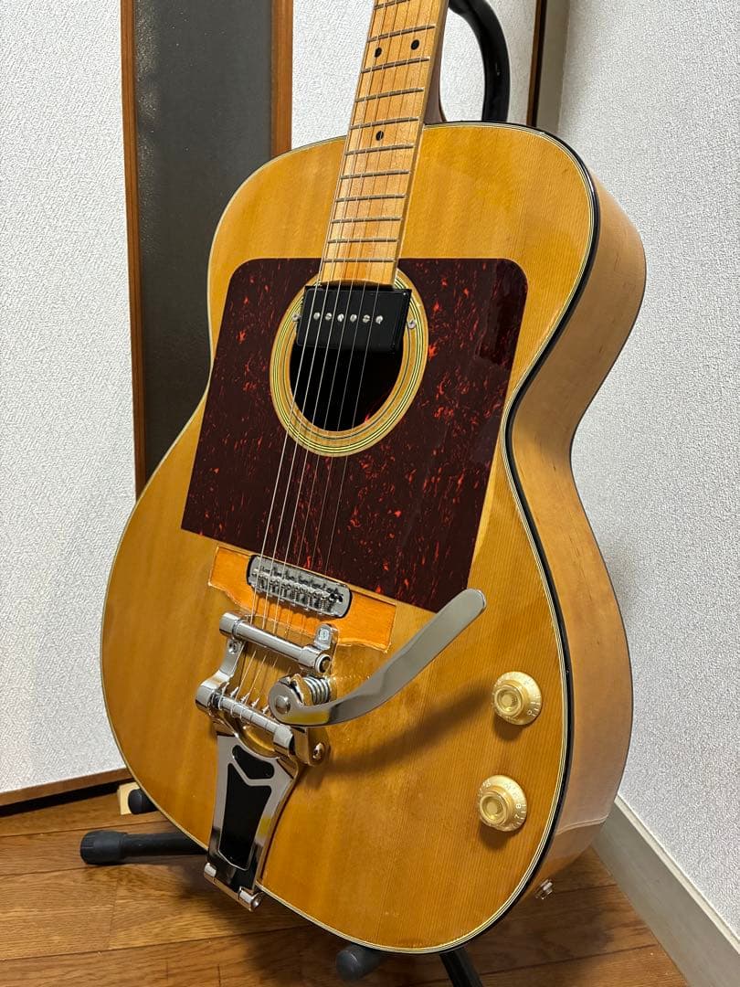 ブランド,モデル名不明　改造品　HC付　フルアコ