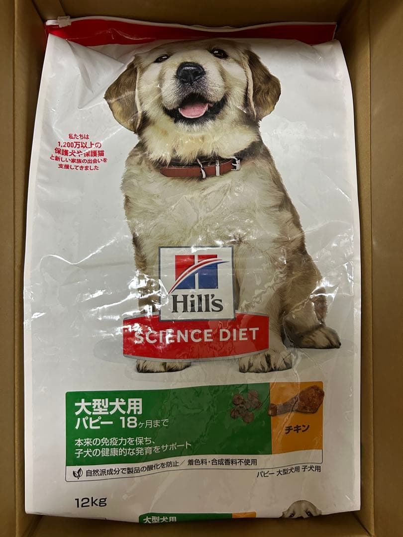 まなか