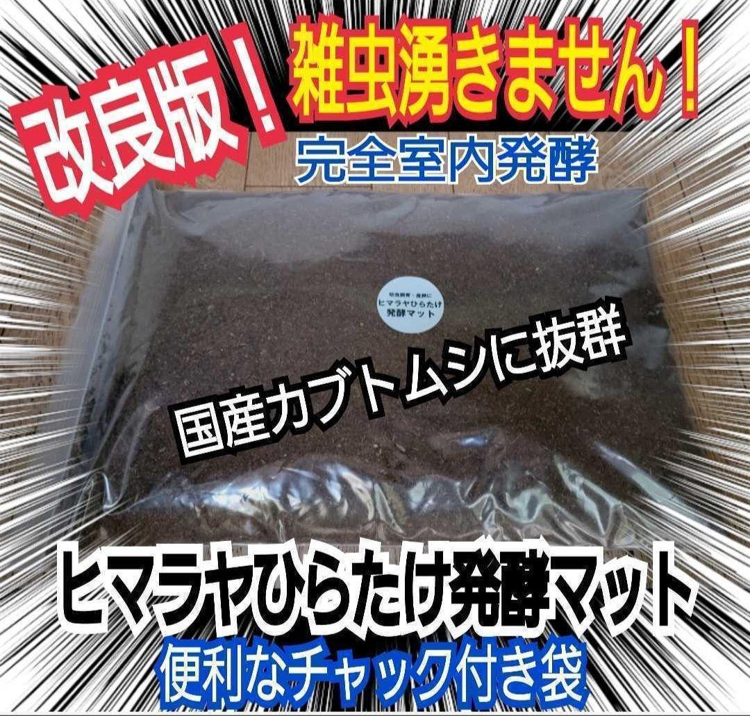 カブトムシの産卵に抜群！ヒマラヤひらたけ発酵マット【60L】雑虫がわきません！
