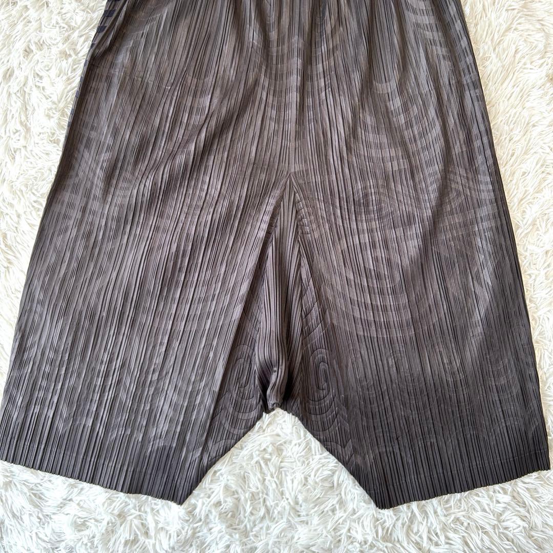 プリーツプリーズ イッセイミヤケ 変形 サルエルパンツ ポケットあり 総柄