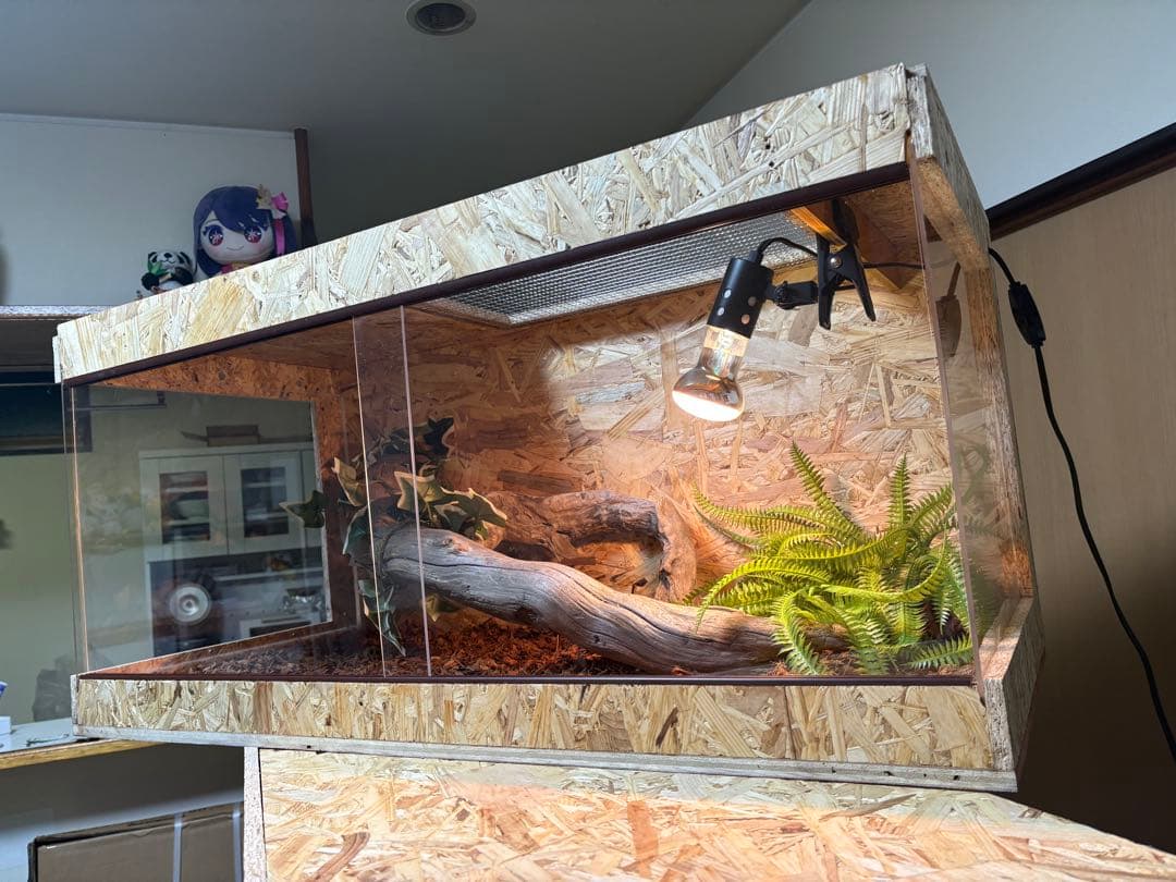 °*＊CIAO＊*°　704540 サイドアクリル　オプションお写真2枚目