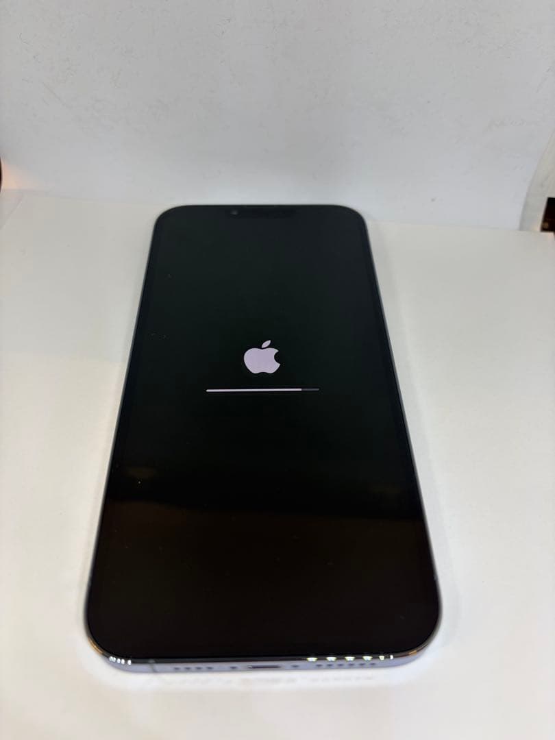 おまけありiPhone13 ProMax シエラブルー　256GB simフリー