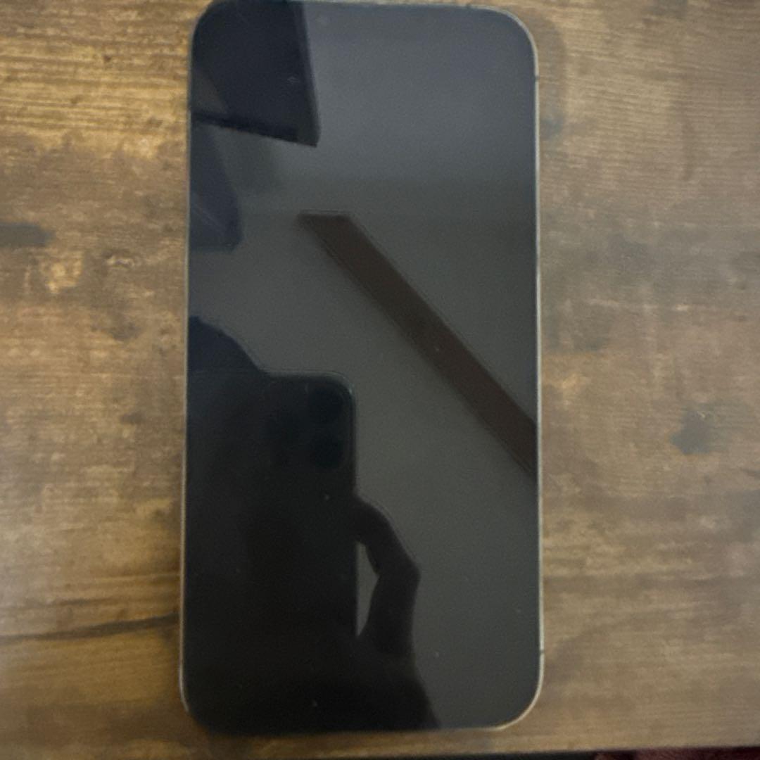 Apple iPhone 13ProMAX 説明欄推奨