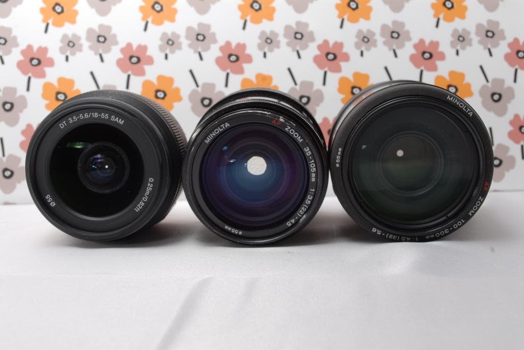 ❤SONY α65❤トリプルレンズ❤超望遠❤超高画質❤1秒10コマの高速連射❤