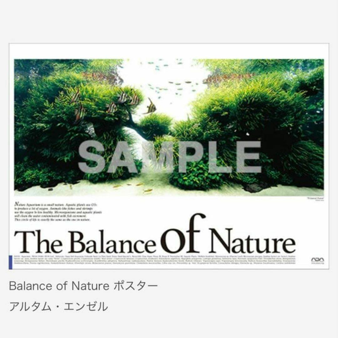ADA ポスター