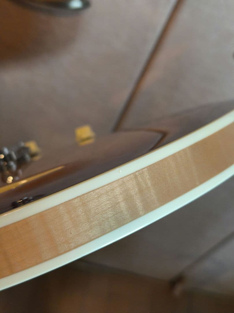 Hofner Verythin HCT-VTH-SP セミアコ ソフトケース付