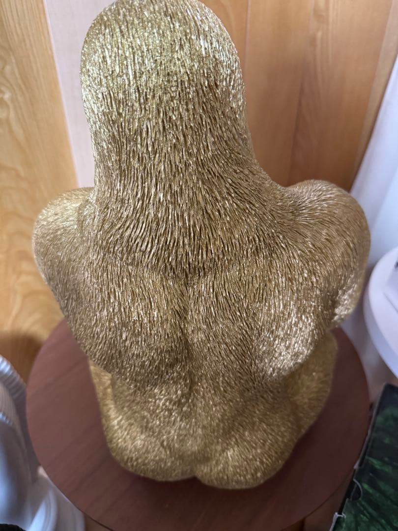 その他 goisu