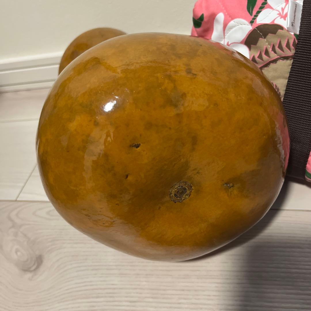 イプ・ケース付き