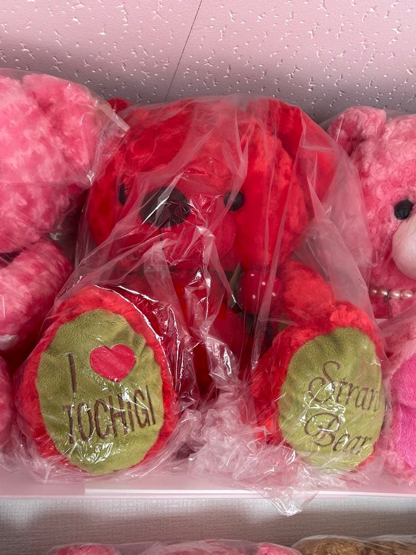 くるみ　30日迄お取り置き　ご当地ベア　Ｌサイズ