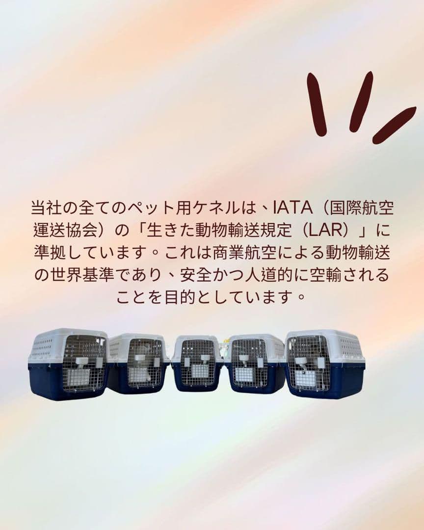 猫犬　ケージ クレート　ペットパレス BB45 移住　お出かけ 輸送