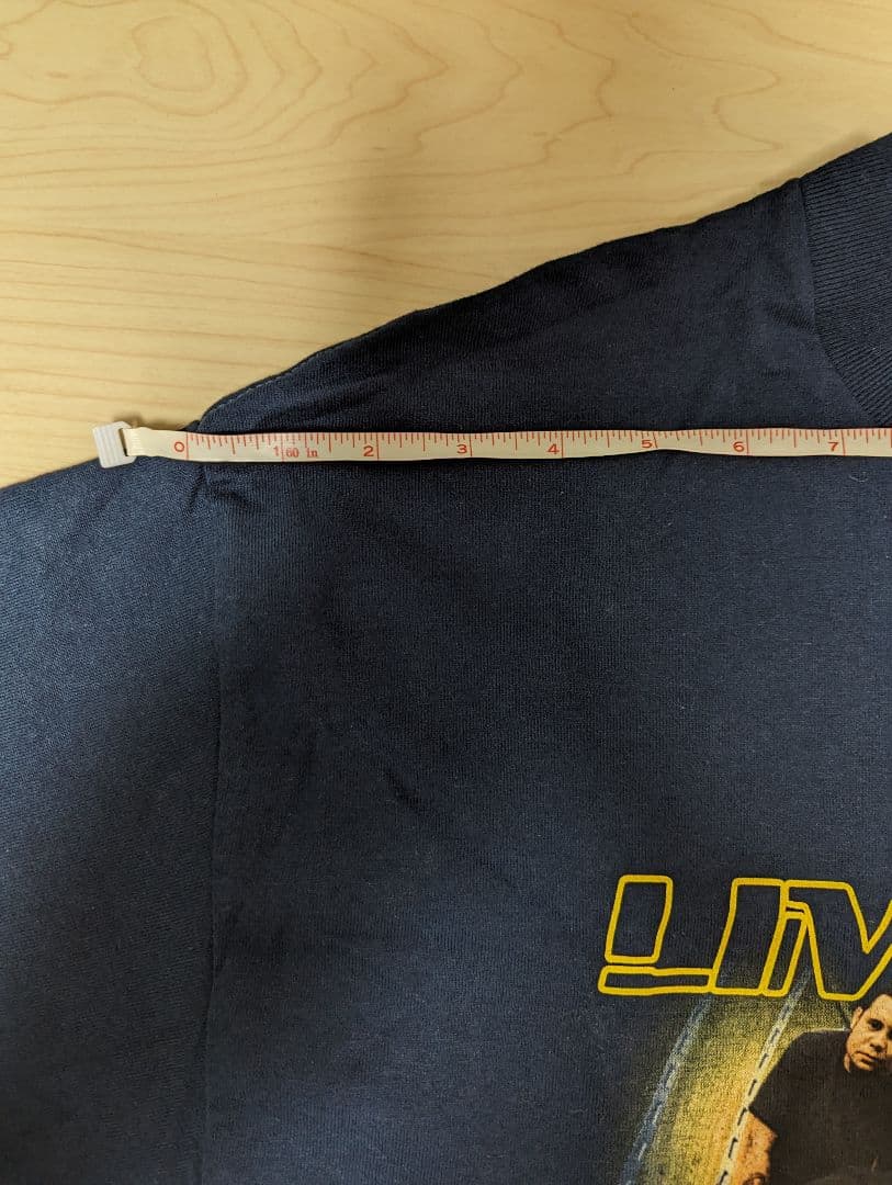 未着用 Limp Bizkit 00s ビンテージ バンド Tシャツ ラージ