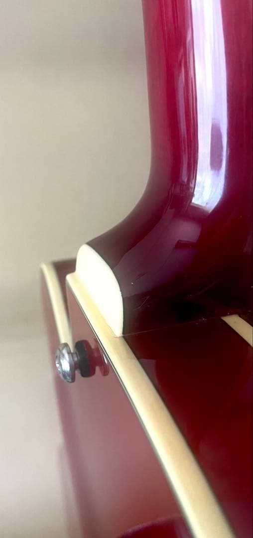 Ibanez トレモロ付きフルアコ　AFS75T-TRD-12-05