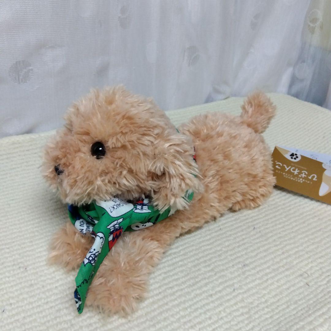 ふわふわモコモコ·͜·ᰔᩚひざわんこ トイプードル