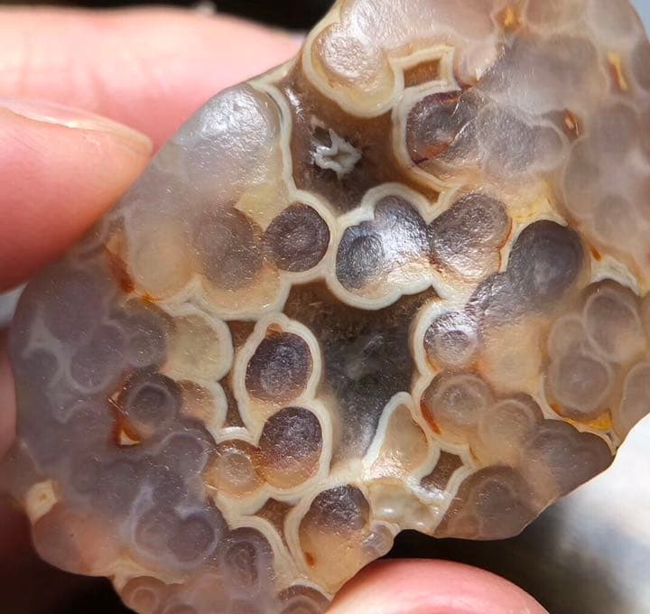ゴビ石−111 ゴビ瑪瑙 花眼　蜂の巣　原石